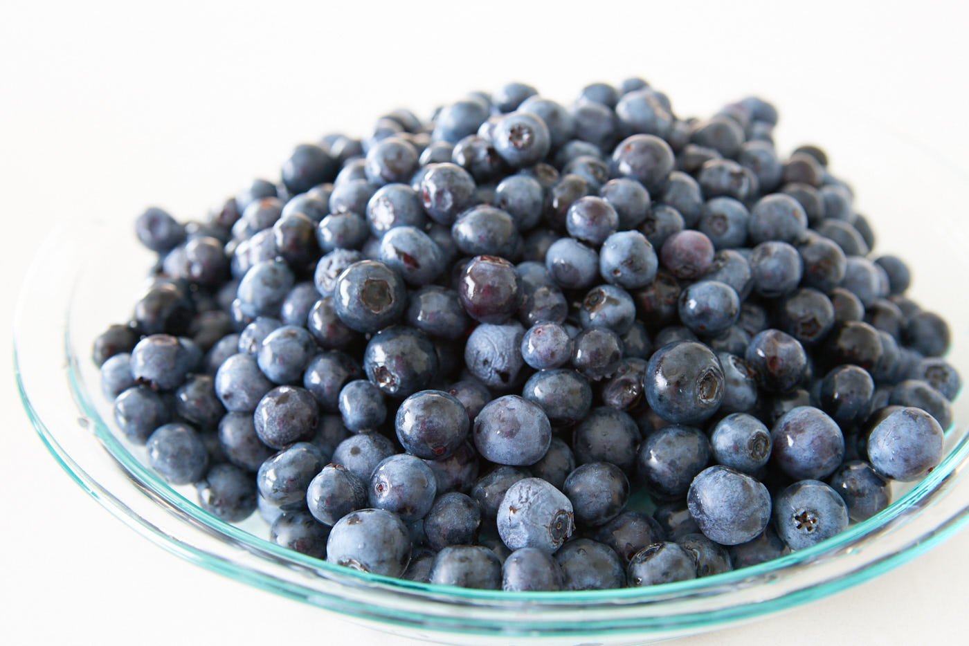 Big haul of freshly picked blueberries in a pie plate is a good way to start cobbler.