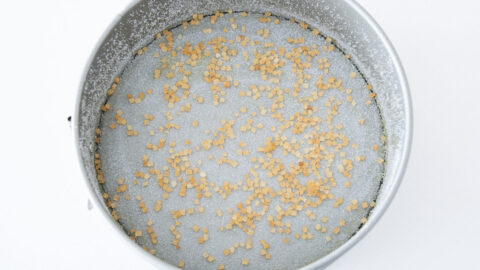 Coarse raw sugar lines the bottom of a springform pan prepared for blueberry olive oil cake.