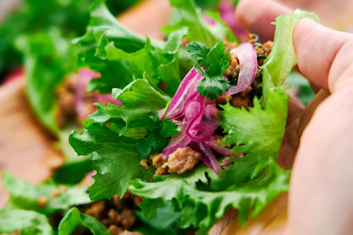 A hand holding an Asian Chicken Lettuce Wrap, ready to take a delicious bite.