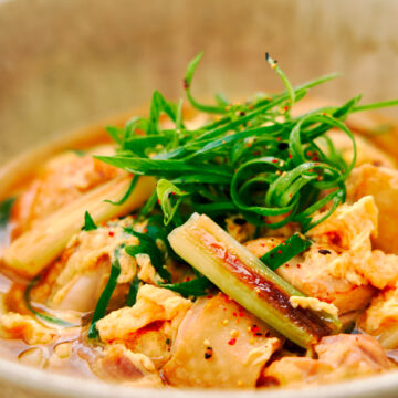 Chicken egg and caramelized scallion udon noodle soup.