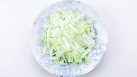 Shredded napa cabbage mounded on a plate.