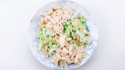 Shredded chicken on a Chinese chicken salad.