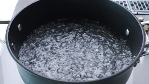 Boiling water in a pot.