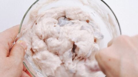 Mixing shrimp paste with chopped shrimp