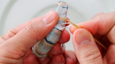 Pull the vein out of the shrimp using the tip of the toothpick.