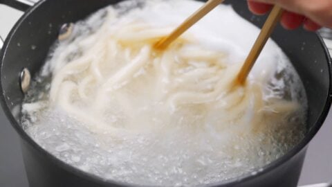 Boiling Japanese udon noodles.