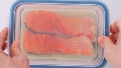 Salmon curing in brine for Japanese grilled salmon.