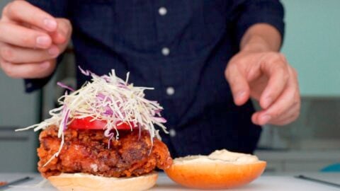 Chicken sandwich with tomato and shredded cabbage.