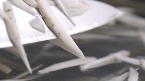 Shaving gobo (burdock) using a knife.