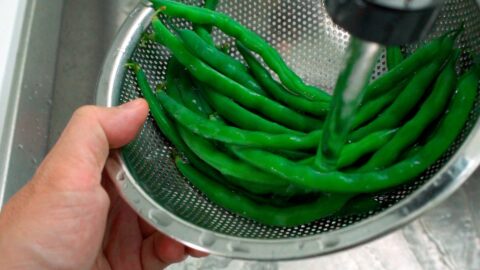 Chilled blanched green beans.