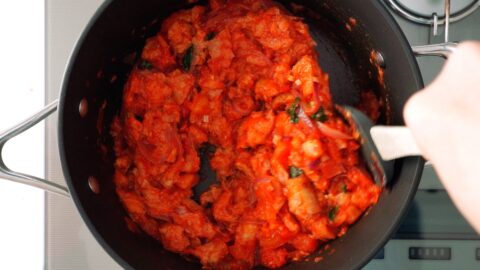 Stirring Tuscan bread and tomato porridge together in a pot.