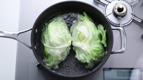 Boiling a head of cabbage for making Japanese potstickers.