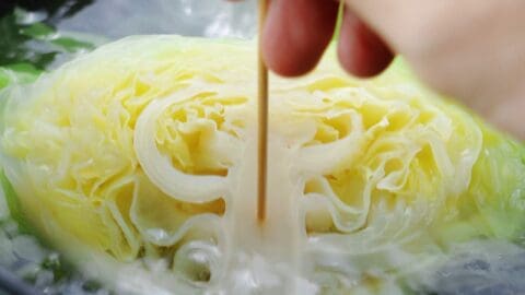 Testing a half head of cabbage with a skewer.