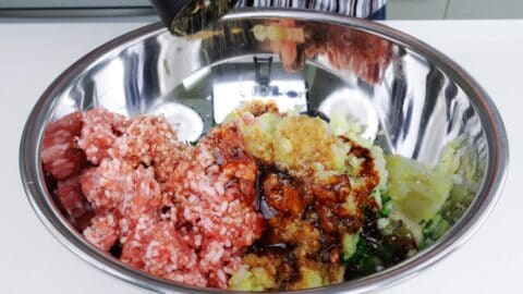 Ingredients for pork and cabbage gyoza in a large bowl.