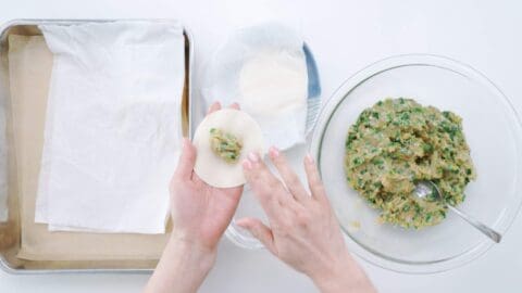 Wetting the rim of a gyoza wrapper for folding the dumplings.