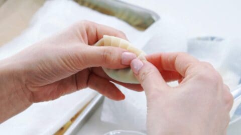 Adding pleats to gyoza as it's being wrapped.