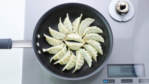 Pan-frying gyoza or Japanese potstickers.