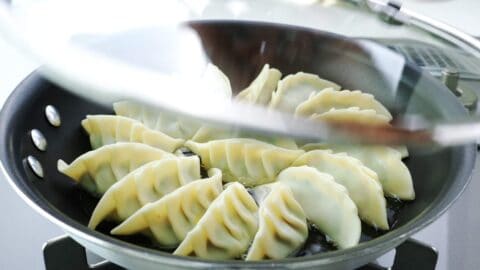 Steaming Gyoza dumplings.