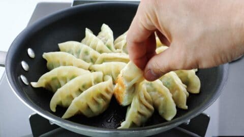 Pan-fried potstickers with a golden brown bottom.