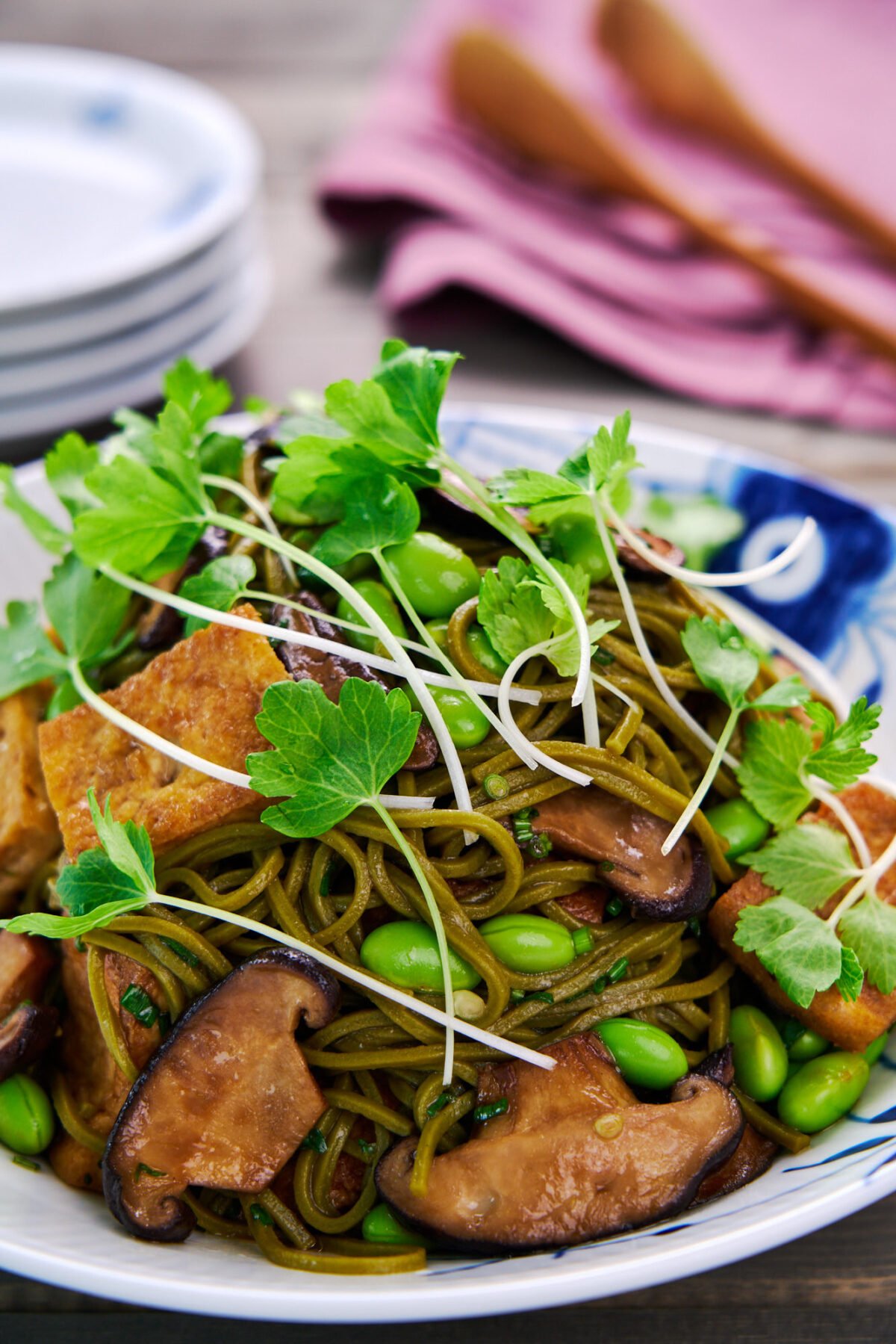 This cold soba noodle salad recipe is packed with protein and flavor, and it comes together in minutes, making it the perfect quick meal for a hot summer day!