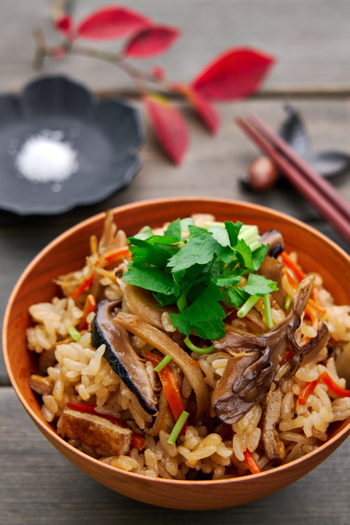 This Japanese rice pilaf, or Takikomi Gohan, is a delicious vegan-friendly mixed rice dish made with mushrooms and veggies.