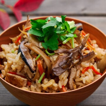 This Takikomi Gohan, also known as Gomoku Gohan, is an easy vegan rice entre loaded with mushrooms and root veggies.