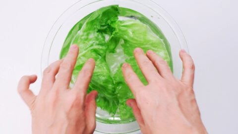 Soaking lettuce in cold water to crisp.