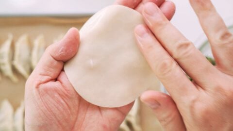 Gyoza wrapper in hand.