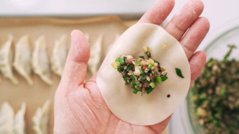 Vegan filling in the center of a Gyoza wrapper.