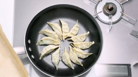 Vegetarian Gyoza lined up in a frying pan.