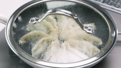 Steaming Vegetable Gyoza Dumplings.