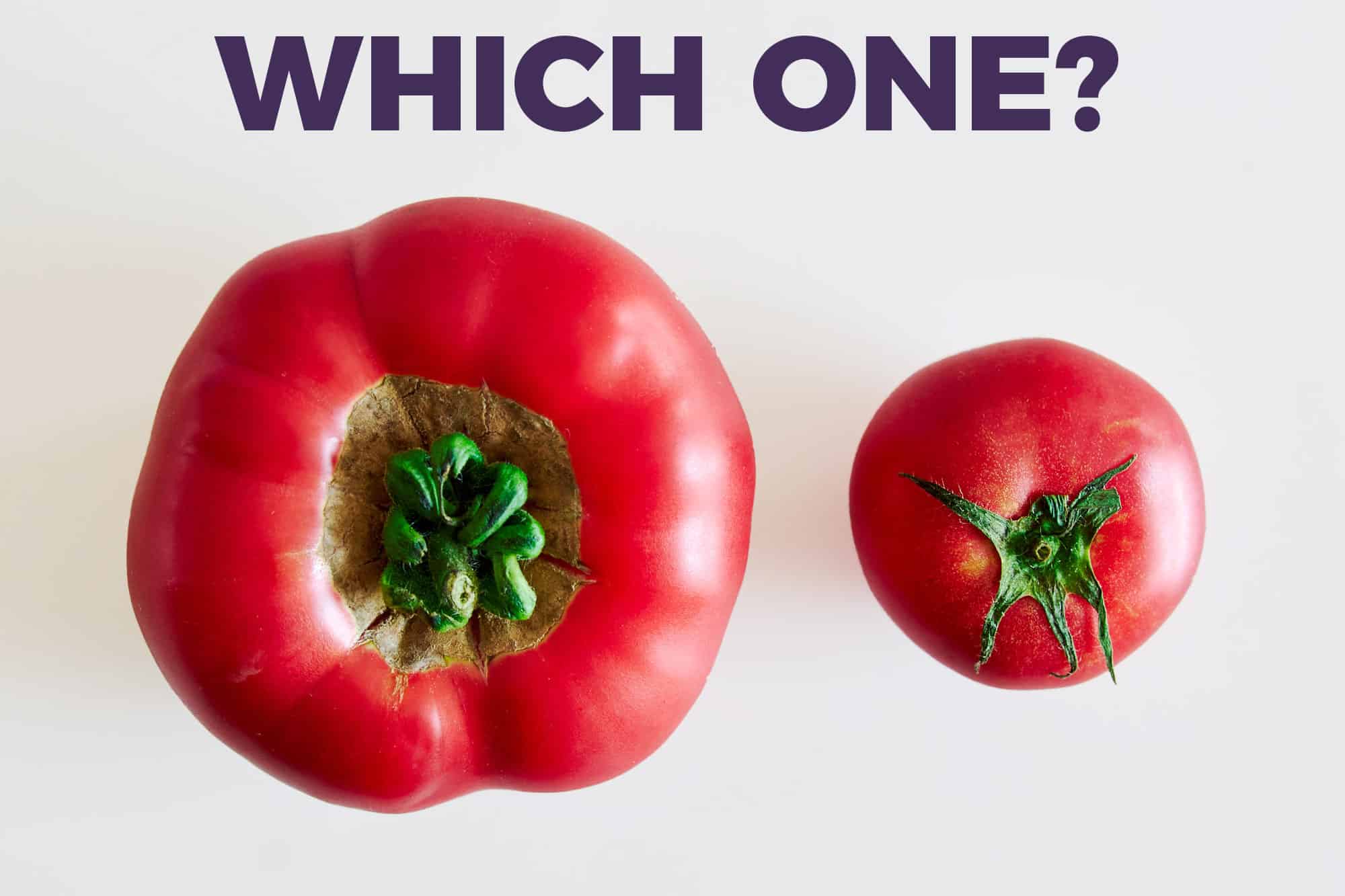 Tomatoes come in different sizes, so how do you know which size to use?